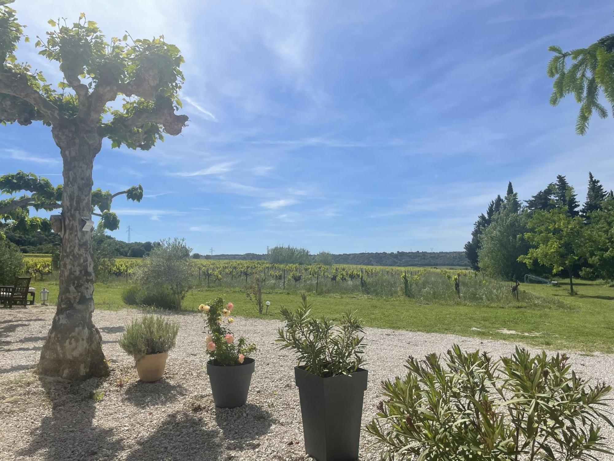 Apartamento Appt 2 Pieces Dans Mas Provencal Roquemaure  Exterior foto